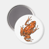 Aimant de grenouille à tarte poison (Recto/Verso)