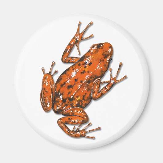 Aimant de grenouille à tarte poison (Devant)