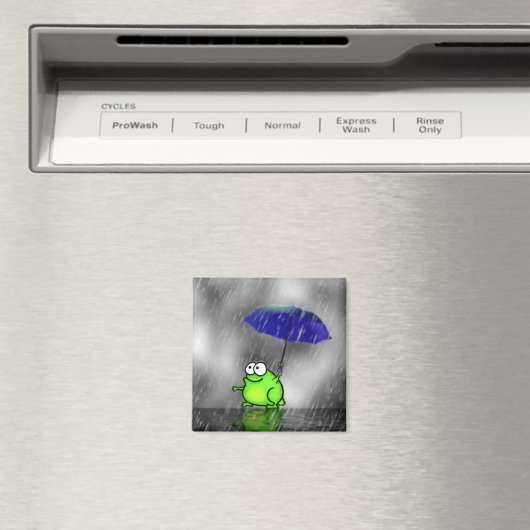 Aimant de grenouille de jour pluvieux (In Situ (Lave-vaisselle))