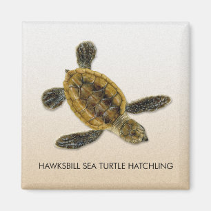 Aimant de Hatchling de tortue de mer de Hawksbill