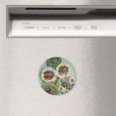 aimant de hibou (In Situ (Lave-vaisselle))