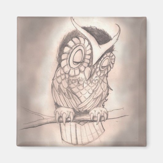 Aimant de hibou endormi (Devant)