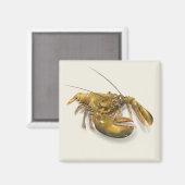 Aimant de homard américain (Recto/Verso)