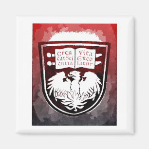 Aimant de joint d'Université de Chicago