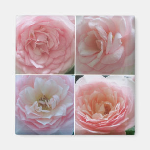 Aimant De jolies roses