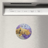 Aimant de Kitty dormant (In Situ (Lave-vaisselle))