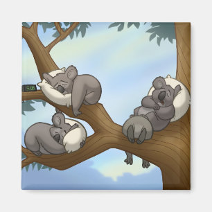 Aimant de koala de sommeil
