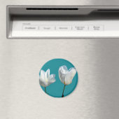 Aimant de la (In Situ (Lave-vaisselle))