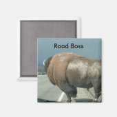 Aimant de la boîte de route (Recto/Verso)