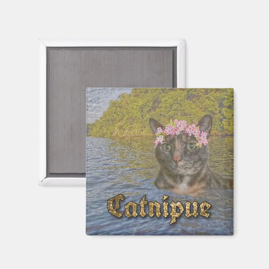 Aimant de la Catnipue (Recto/Verso)
