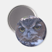 Aimant de la Chouette à grande corne (Recto/Verso)