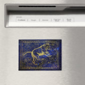 aimant de la constellation de la grande ourse (In Situ (Lave-vaisselle))