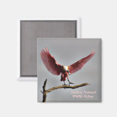 Aimant de la cuillère de rotation (Recto/Verso)