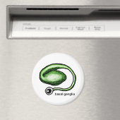 Aimant de la Ganglia de base (In Situ (Lave-vaisselle))