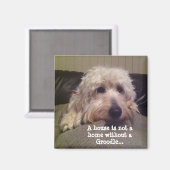 Aimant de la graine (Recto/Verso)