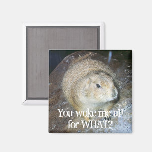 Aimant de la journée de la marmotte