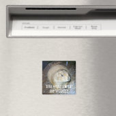 Aimant de la journée de la marmotte (In Situ (Lave-vaisselle))