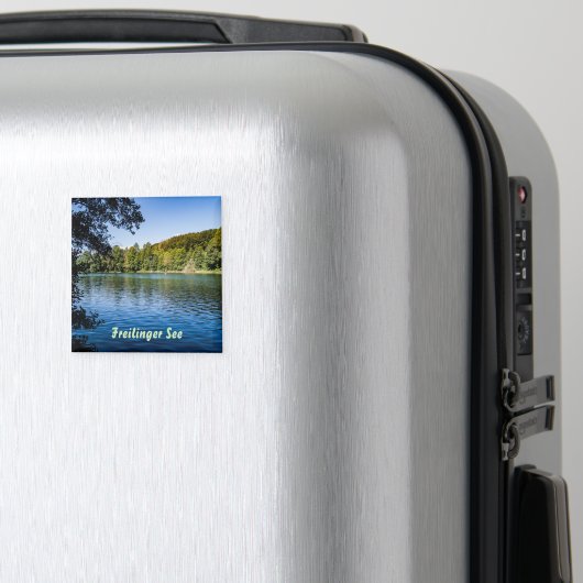 Aimant de la mer de Fribourg (In Situ (Bagages))