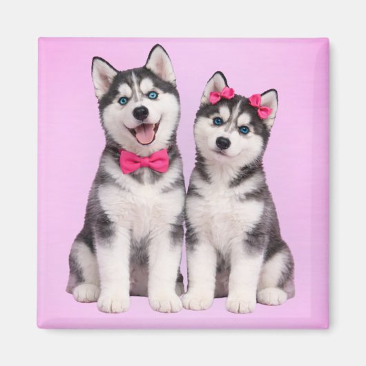 Aimant de la Saint-Valentin Amour de chiot Husky (Devant)