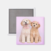 Aimant de la Saint-Valentin pour chiot Goldendoodl (Recto/Verso)