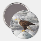 Aimant de l'aigle à tête blanche (Recto/Verso)