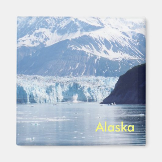 Aimant de l'Alaska (Devant)