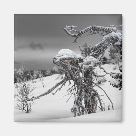 Aimant de l'arbre Alien (Devant)