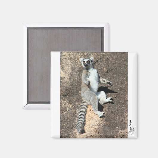 Aimant de lémur (Recto/Verso)