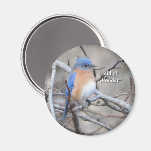 Aimant de l'Est (Recto/Verso)