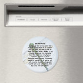 Aimant de libellule (In Situ (Lave-vaisselle))