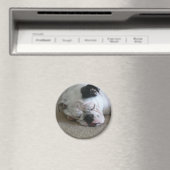 Aimant de liberté (In Situ (Lave-vaisselle))