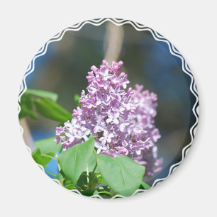 Aimant de lilas de lavande
