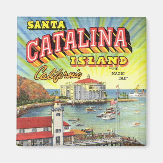 Aimant de l'île Catalina