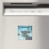 Aimant de l'île Grand Cayman (In Situ (Lave-vaisselle))