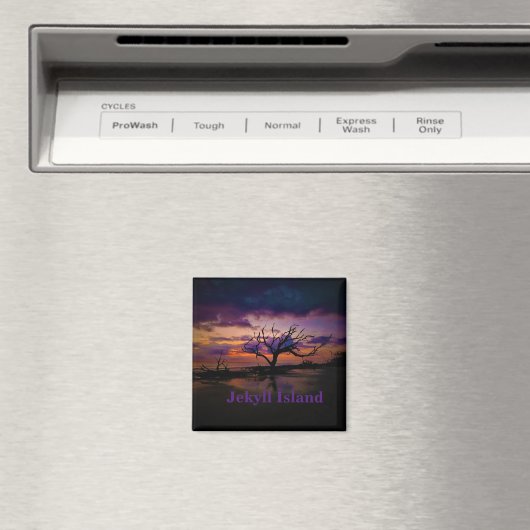 Aimant de l'île Jekyll (In Situ (Lave-vaisselle))