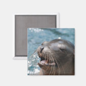 Aimant de lion de mer mignon (Recto/Verso)