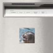Aimant de lion de mer mignon (In Situ (Lave-vaisselle))