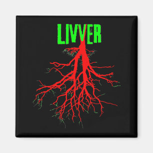 Aimant de LIVVER