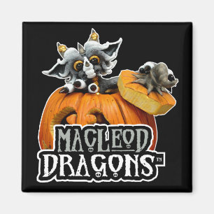 Aimant de logo de dragon de citrouille de DM