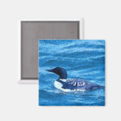 Aimant de lotte commun (Recto/Verso)