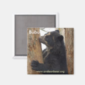 Aimant de l'ours bubu (Recto/Verso)
