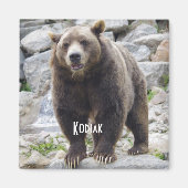 Aimant de l'ours de Kodiak (Devant)