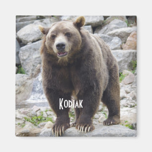Aimant de l'ours de Kodiak