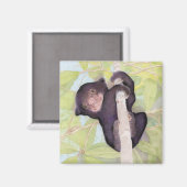 Aimant de l'ours solaire (Recto/Verso)