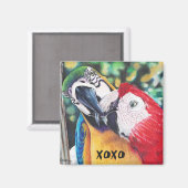 aimant de macaws baisants (Recto/Verso)