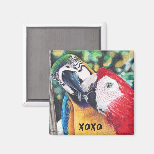 aimant de macaws baisants (Recto/Verso)