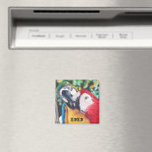 aimant de macaws baisants (In Situ (Lave-vaisselle))