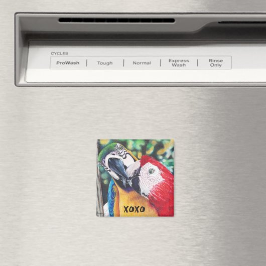 aimant de macaws baisants (In Situ (Lave-vaisselle))