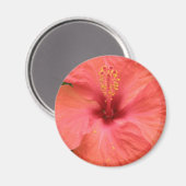 Aimant de macro à fleur d'Hibiscus orange (Recto/Verso)