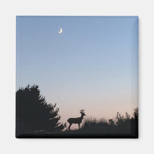 Aimant de magie de lever de la lune